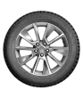Nokian Tyres (Ikon) Nordman 5 купить в KOLOBOX