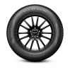 Pirelli Scorpion Verde All-Season SF2 SUV 255/55 R19 111W (XL) купить в KOLOBOX